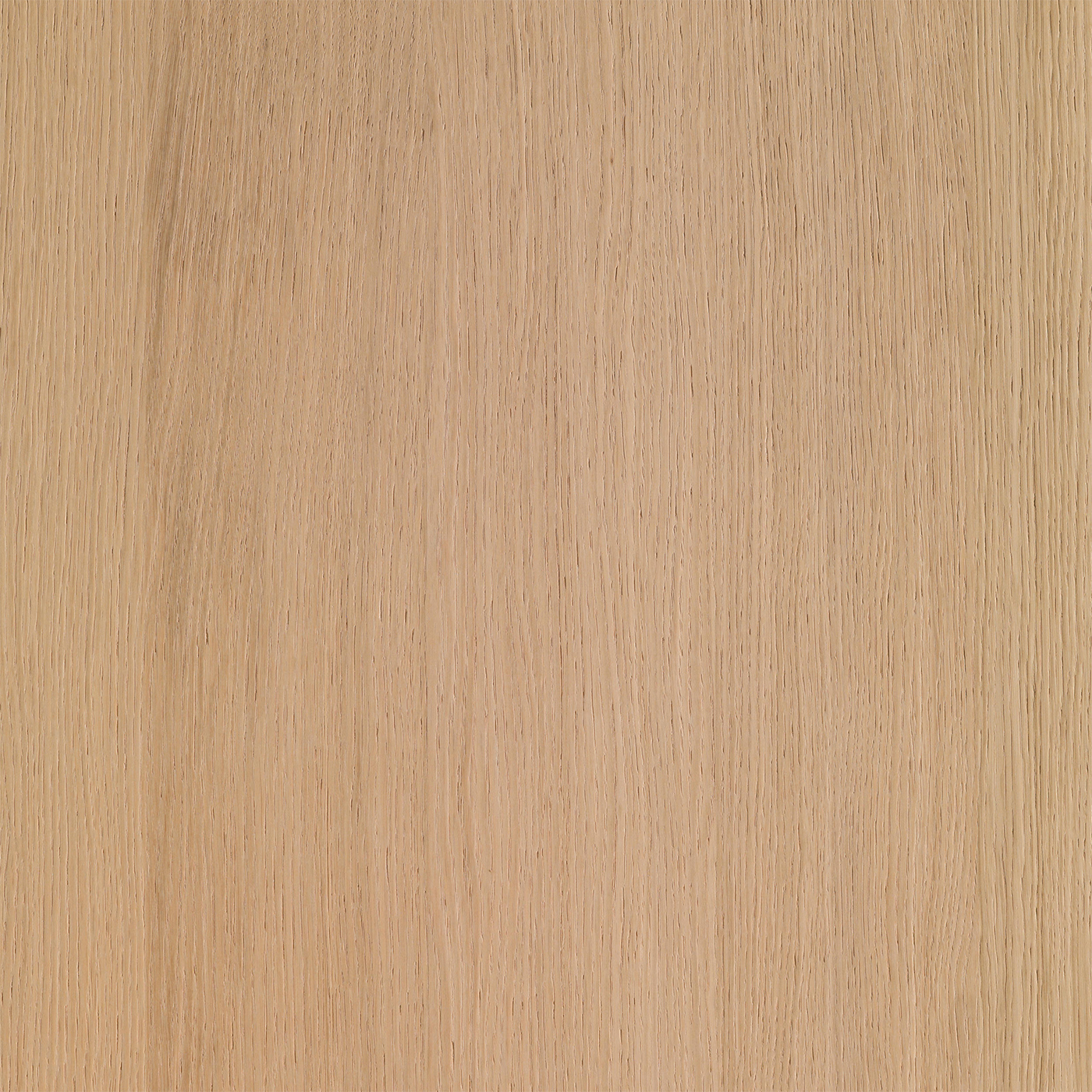 Placage de bois Ivory Oak